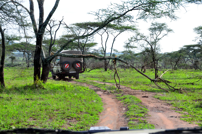 Melanie Heinrich Travel Images Africa